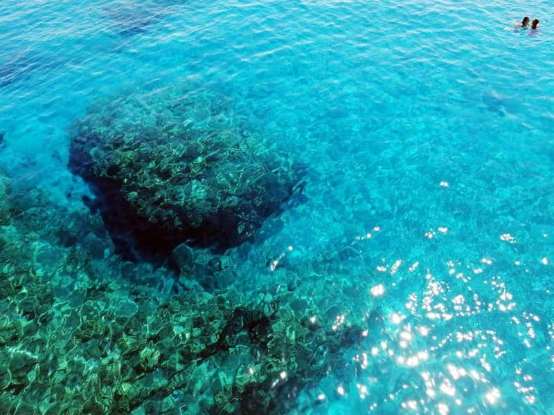 Paphos: Zoo Visit and Blue Lagoon Cruise with Guide & Lunch - Is the Blue Lagoon Enough Without Snorkeling?