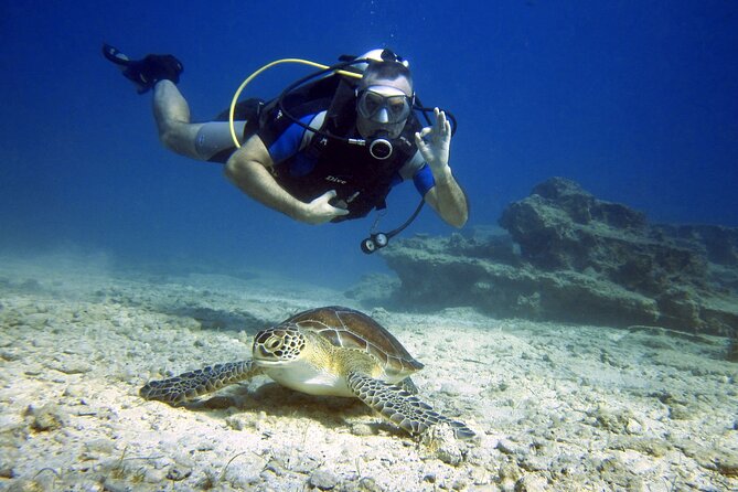 Private Discovery Dive + Photos & Videos - Quick hits to know before you book