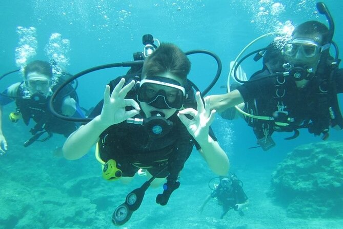 Private Discovery Dive + Photos & Videos - Equipment training, safety checks, and the breathing skill that unlocks the fun