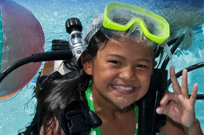 Private Discovery Scuba Diving with Sea Turtles - Sea turtles at Green Bay Beach, with a beginner-first setup
