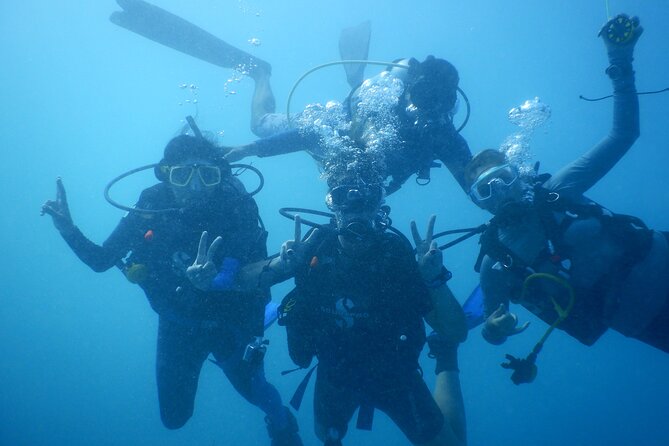 Private Discovery Scuba Diving with Sea Turtles - The shallow-water skills check that turns nerves into focus