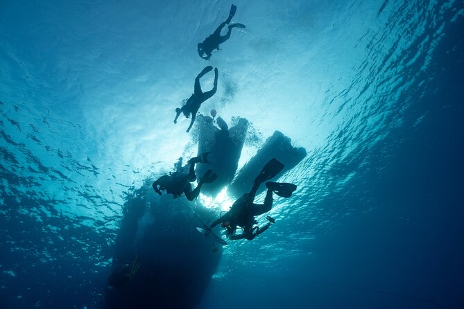 Private Discovery Scuba Diving with Sea Turtles - Spotting turtles without touching them: how the rules protect the moment