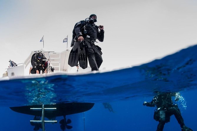 Private Diving at Zenobia Wreck in Larnaka - Key things to know before you go