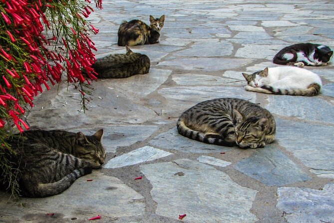 Private Full-Day Tour to Cyprus Monasteries - Stop 3: Platres, a mountain village split into Pano and Kato