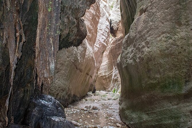 Private Jeep Safari Bath of Aphrodite including Adonis Waterfalls - Lara Bay turtle conservation station: small time, clear purpose