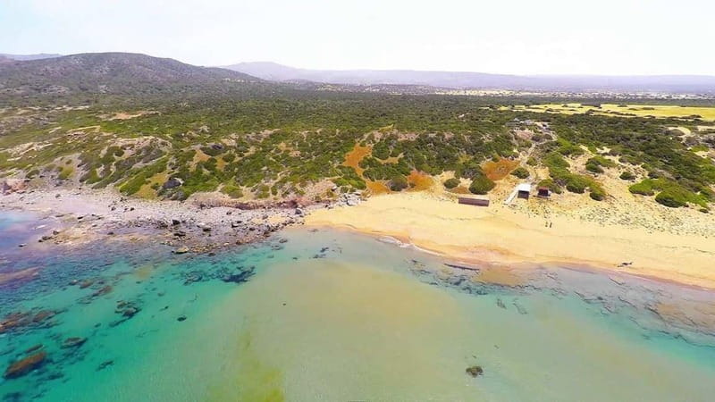 Private Jeep Safari Turtle Adventure & Adonis Waterfalls - Turtle Bay photos and the quick Lara Bay moment