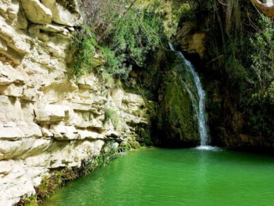 Private Jeep Safari Turtle Adventure & Adonis Waterfalls