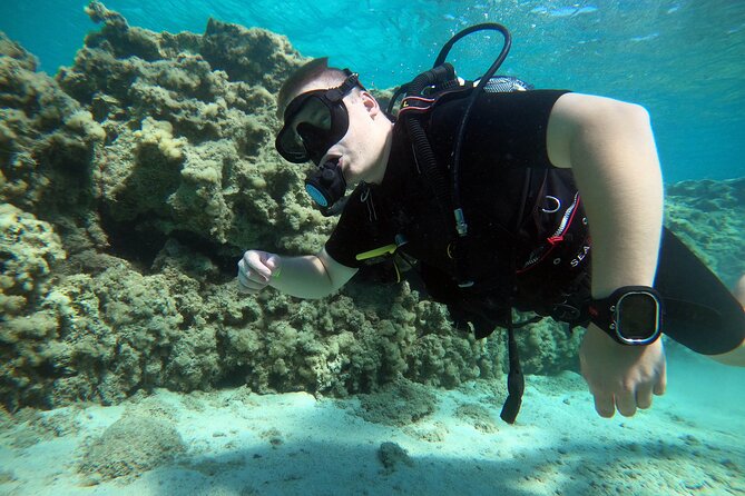Private Scuba Diving Experience in Cyprus - Gear and briefing: why included equipment is more than convenience