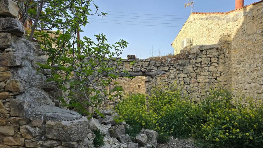 PRIVATE TOUR | Troodos Mountain: Waterfall, Villages & Lunch - Lofou Village: cobbled streets, herbs in the air, and time to browse