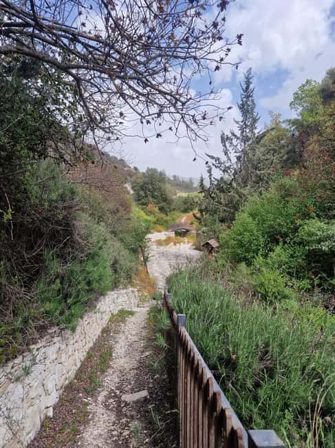 PRIVATE TOUR | Troodos Mountain: Waterfall, Villages & Lunch - The meze lunch: a family-run taverna that feeds you like you’re part of the village