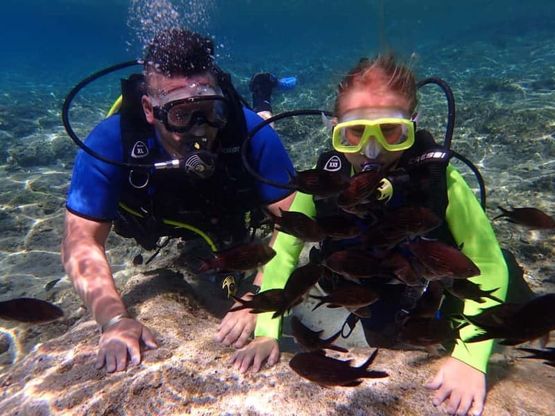 Protaras: Bubblemaker Diving Course & 2-Meter Dive - The 3-hour schedule: what happens from pickup to getting back
