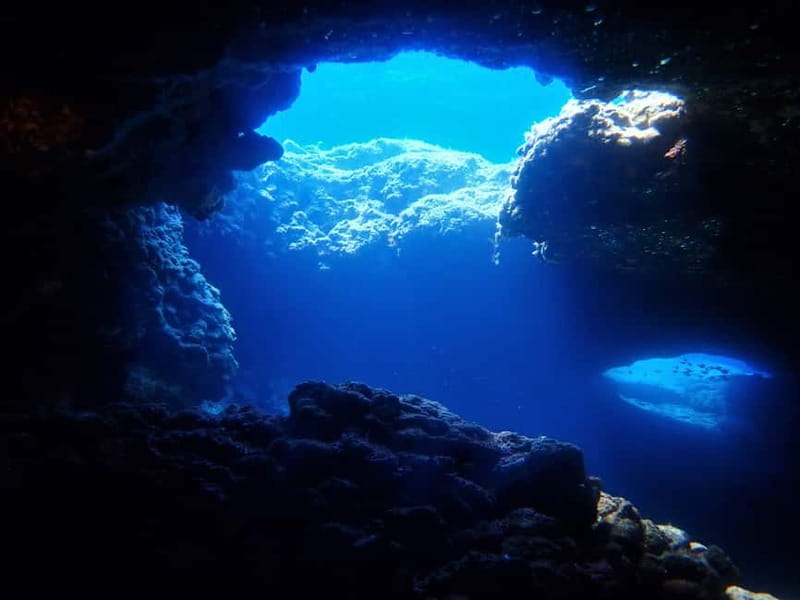 Protaras: Cape Grecko Single Dive for Qualified Divers - Price and value: is $58 a fair deal for 3 hours?