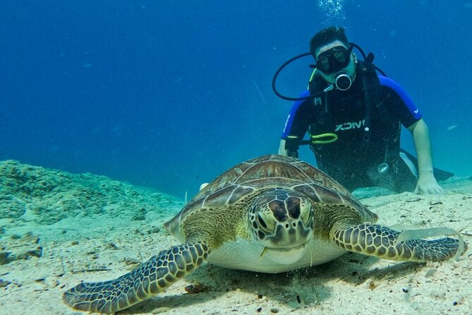 Protaras: Discover Scuba Diving For Beginners 2 Dives - Key Highlights Worth Knowing