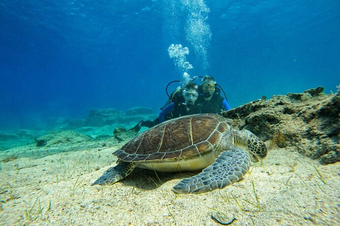 Protaras: Discover Scuba Diving For Beginners 2 Dives - Pickup, Timing, and How the Day Actually Flows