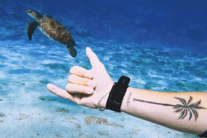Protaras: Discover Scuba Diving For Beginners 2 Dives - Second Session, “Safari” Style Experience (Max 10 Meters)