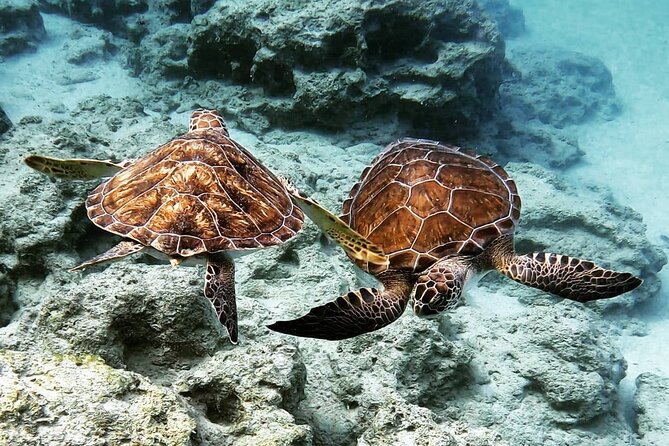 Protaras: Discover Scuba Diving For Beginners 2 Dives - The Coaching Style You’ll Feel on the Day