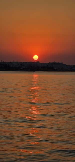 Protaras: Famagusta, Blue Lagoon and Turtle Cove Boat Trip - The turtle question: sightings, tank views, and how to handle your comfort level