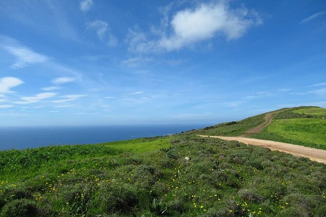 Quad or Buggy Tour from Coral Bay to Adonis Baths - Before you go: license, timing, and the gear that saves your trip