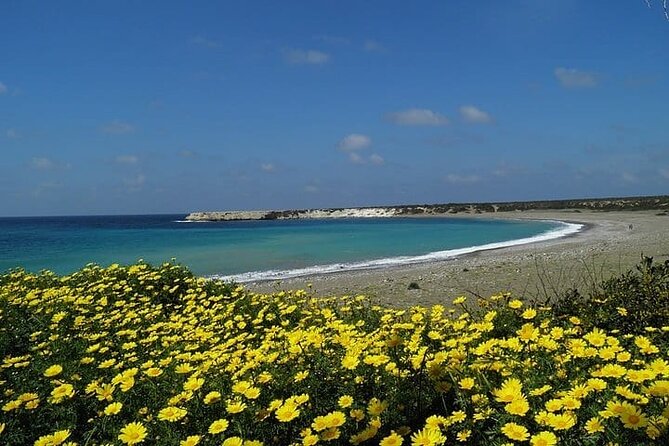Quad or Buggy Tour from Coral Bay to Lara Bay - Price and value: what you get for about $96.12