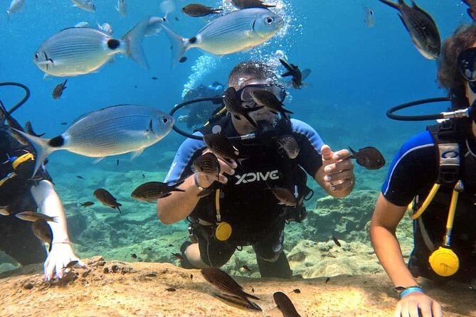 Scuba Diving Adventure at Green Bay Beach - From Protaras Pickup to the Scuba Shop, What to Expect