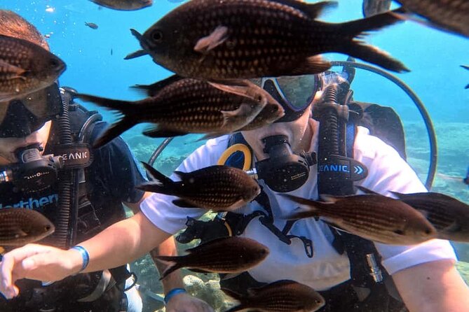 Scuba Diving Adventure at Green Bay Beach - Equipment, Safety Briefing, and Standing-Depth Confidence Building