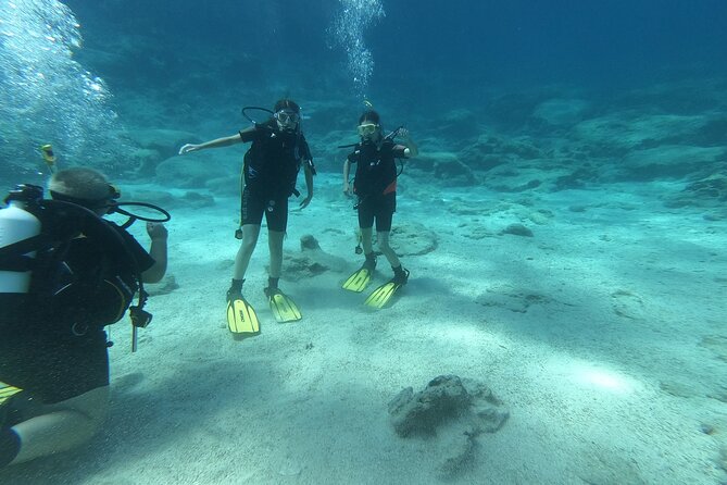 Scuba Diving Cyprus Experience Protaras and Ayia Napa & Turtles - Entering the Scuba Classroom at Yellow Fins in Protaras