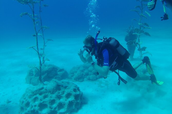 Scuba Diving Cyprus Experience Protaras and Ayia Napa & Turtles - Who Should Book This in Protaras (and Who Might Not)