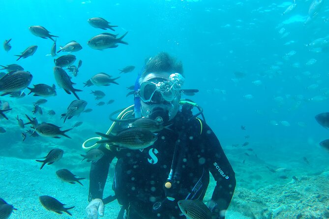 Scuba Diving Cyprus Experience Protaras and Ayia Napa & Turtles - Green Bay Practice: Learning Breathing and Safety Skills