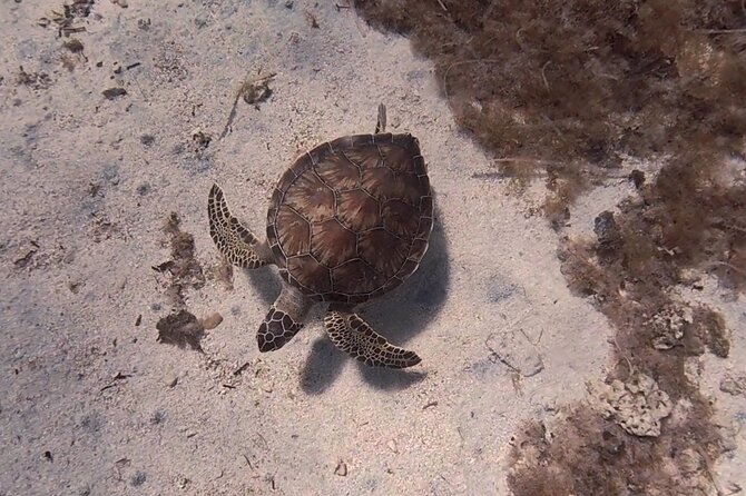 Scuba Diving Experience (10+ Years) AND Free Edited Video - Where the experience starts in Protaras (and why logistics are easy)