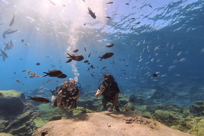 Scuba Diving Experience (10+ Years) AND Free Edited Video - The real feel in the water: what your instructor will likely do