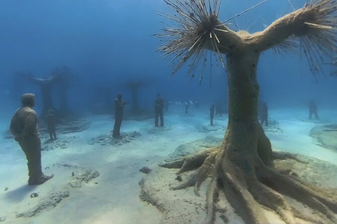 Scuba Diving Experience & MUSAN Dive + Free Edited Video 2xdives - Key Points You’ll Care About