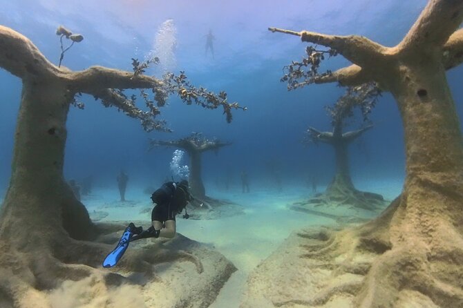 Scuba Diving Experience & MUSAN Dive + Free Edited Video 2xdives - How the Day Flows, From Nautilus to MUSAN