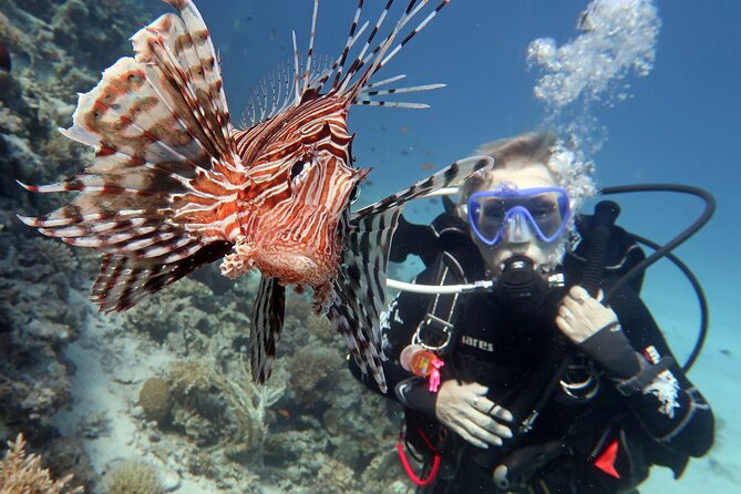 Scuba Diving Experience & MUSAN Dive + Free Edited Video 2xdives - Small Group Size Keeps Things Calm and Personal