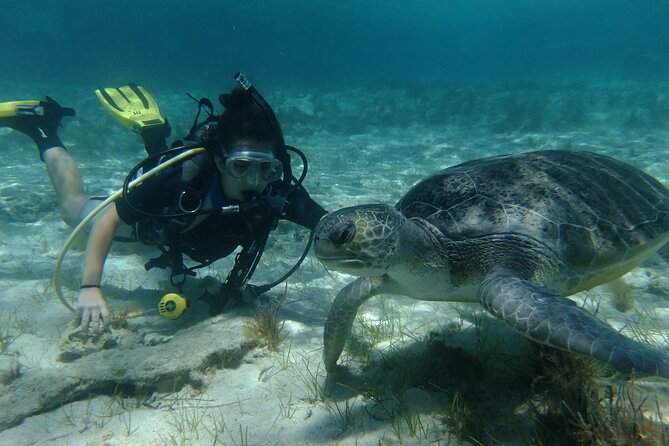 SCUBA DIVING first time experience - First-Time Scuba in Protaras: Why This Intro Works
