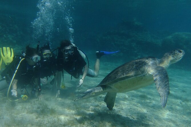 SCUBA DIVING first time experience - Value Check: What $90.74 Buys You (and What It Means for Your Time)