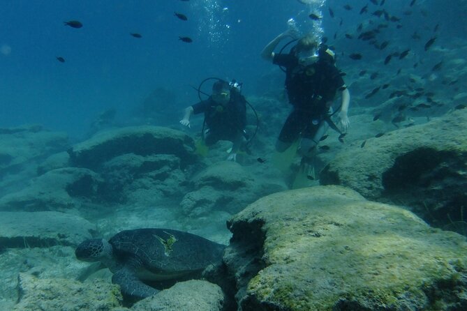 SCUBA DIVING first time experience - Gear, Transport, and the Small Details That Reduce Stress