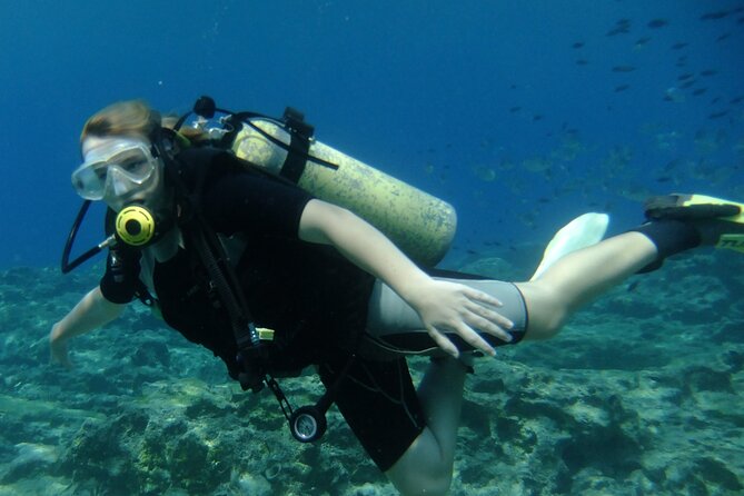 SCUBA DIVING first time experience - Who Should Book This First-Time Scuba Session