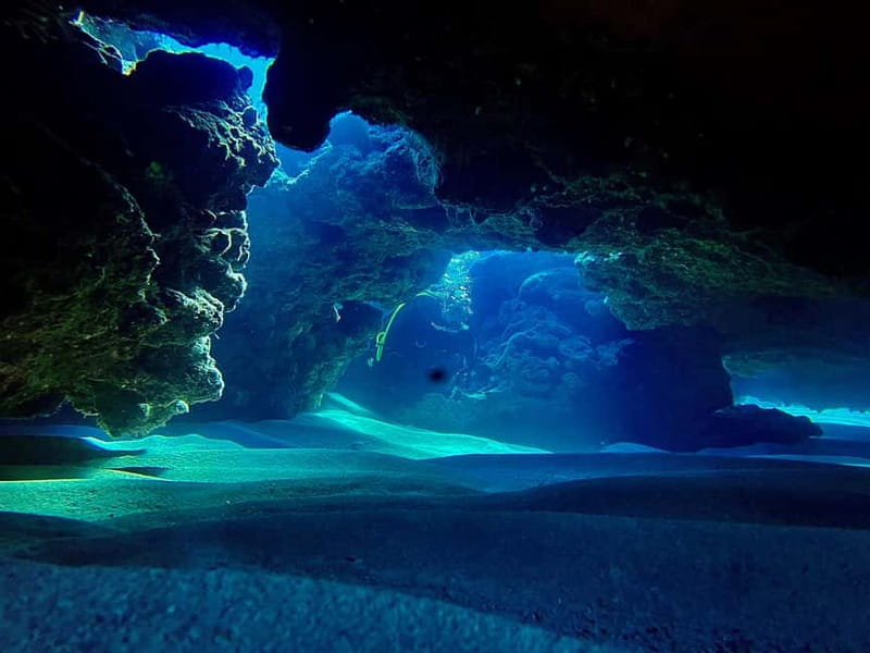 Scuba Diving - Tunnels & Caves - Cape Greco - private guided - The marine life to look for, and how the cave setting changes what you’ll notice