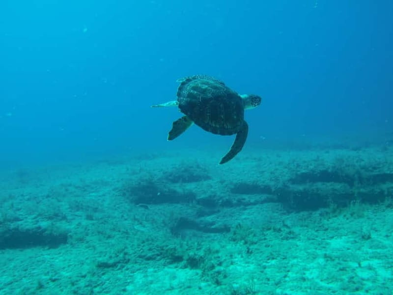 Scuba Diving - Tunnels & Caves - Cape Greco - private guided - Equipment, safety coaching, and why the guide matters more than you think