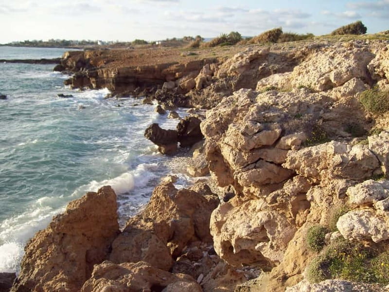 Sea Star Blue Lagoon Round Trip Cruise from Paphos - Getting to Latchi Harbour, the trip starts before you leave the dock
