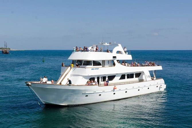 Sea Star Coral Express Cruise from Paphos - Key Highlights You Should Care About