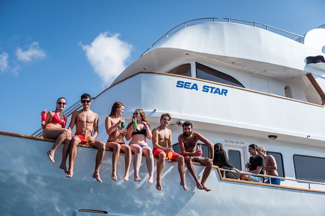 Sea Star | Half Day Cruise - Key points before you go
