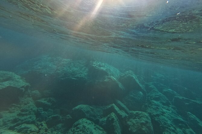snorkeling ,Turtle Watching in Cyprus - Sea scooters: the “why” behind that included equipment