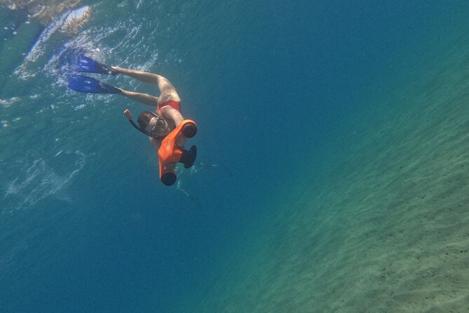 snorkeling ,Turtle Watching in Cyprus - Fuel, photos, and small comforts that add up