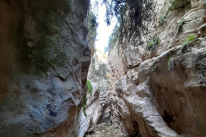 Stelios Jeep Safari - Glass-bottom boat time: seeing the coast without the effort tax