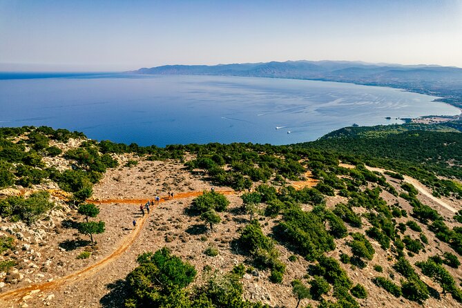 Surf and Turf Full Day Jeep & Boat Combination Tour from Paphos - Lara Beach and the Turtle Conservation Project, more than a beach break