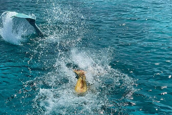 The Mermaid Cruise by Medusa Cruises - 2:30-Hour Family Adventure - Cape Greco arrival and the Blue Lagoon mermaid swim that runs the show