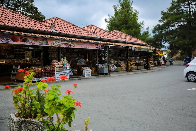 Tour to Troodos, Kykkos Monastery, Omodos and Winery from Paphos - Price and value for a Paphos day trip at $66.08