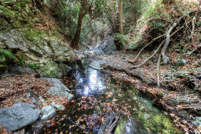 Troodos Jeep Safari from Protaras,Ayia napa & Larnaca - Stop 2: Chantara Waterfall, the Splash Break (But Not a Swim Trip)