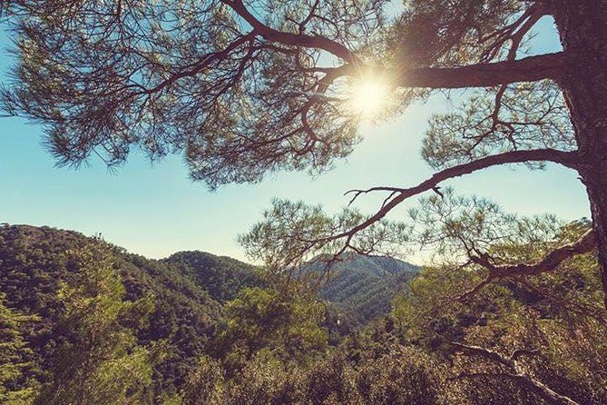 Troodos Jeep Safari from Protaras,Ayia napa & Larnaca - The Pebble-Stoned Streets Stop, Lace and Silver Shopping Time